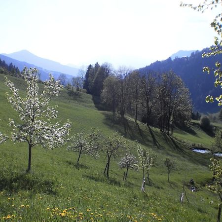 Bio-Bauernhof Nichlgut Villa Eben Im Pongau Buitenkant foto