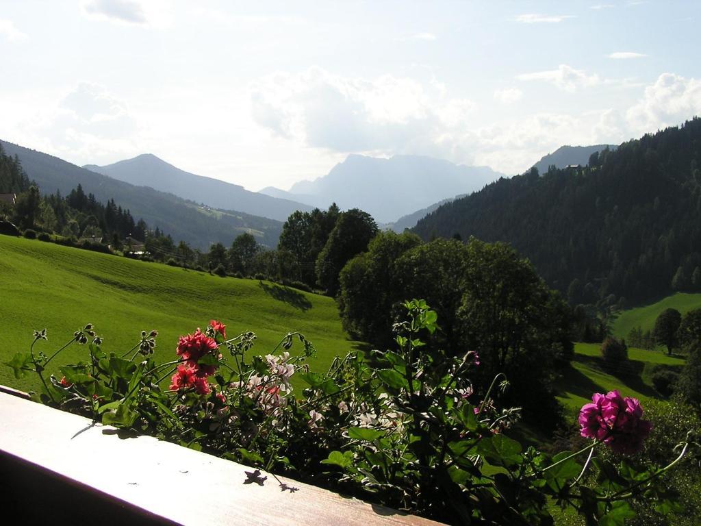 Bio-Bauernhof Nichlgut Villa Eben Im Pongau Buitenkant foto