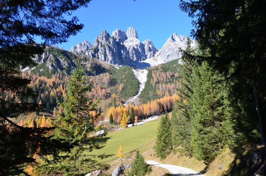 Bio-Bauernhof Nichlgut Villa Eben Im Pongau Buitenkant foto