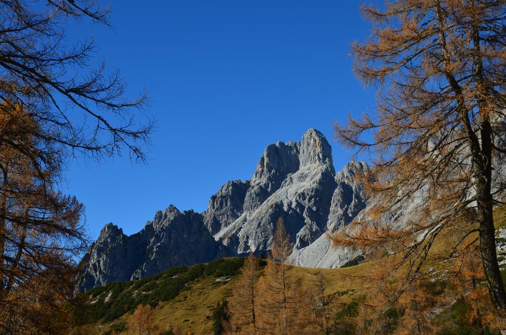 Bio-Bauernhof Nichlgut Villa Eben Im Pongau Buitenkant foto