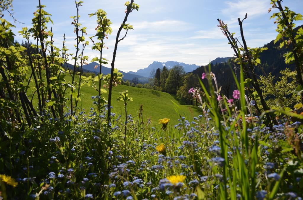 Bio-Bauernhof Nichlgut Villa Eben Im Pongau Buitenkant foto