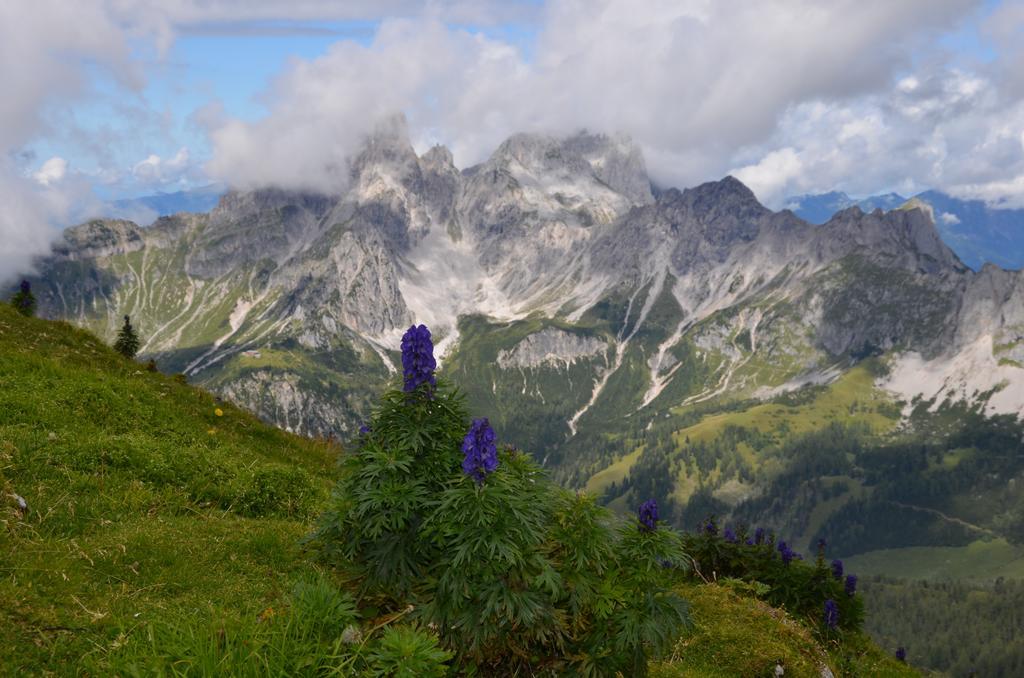 Bio-Bauernhof Nichlgut Villa Eben Im Pongau Buitenkant foto