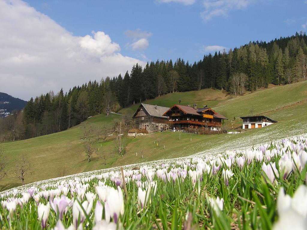 Bio-Bauernhof Nichlgut Villa Eben Im Pongau Buitenkant foto